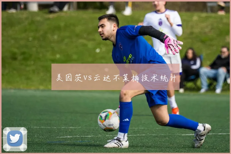 美因茨vs云达不莱梅技术统计